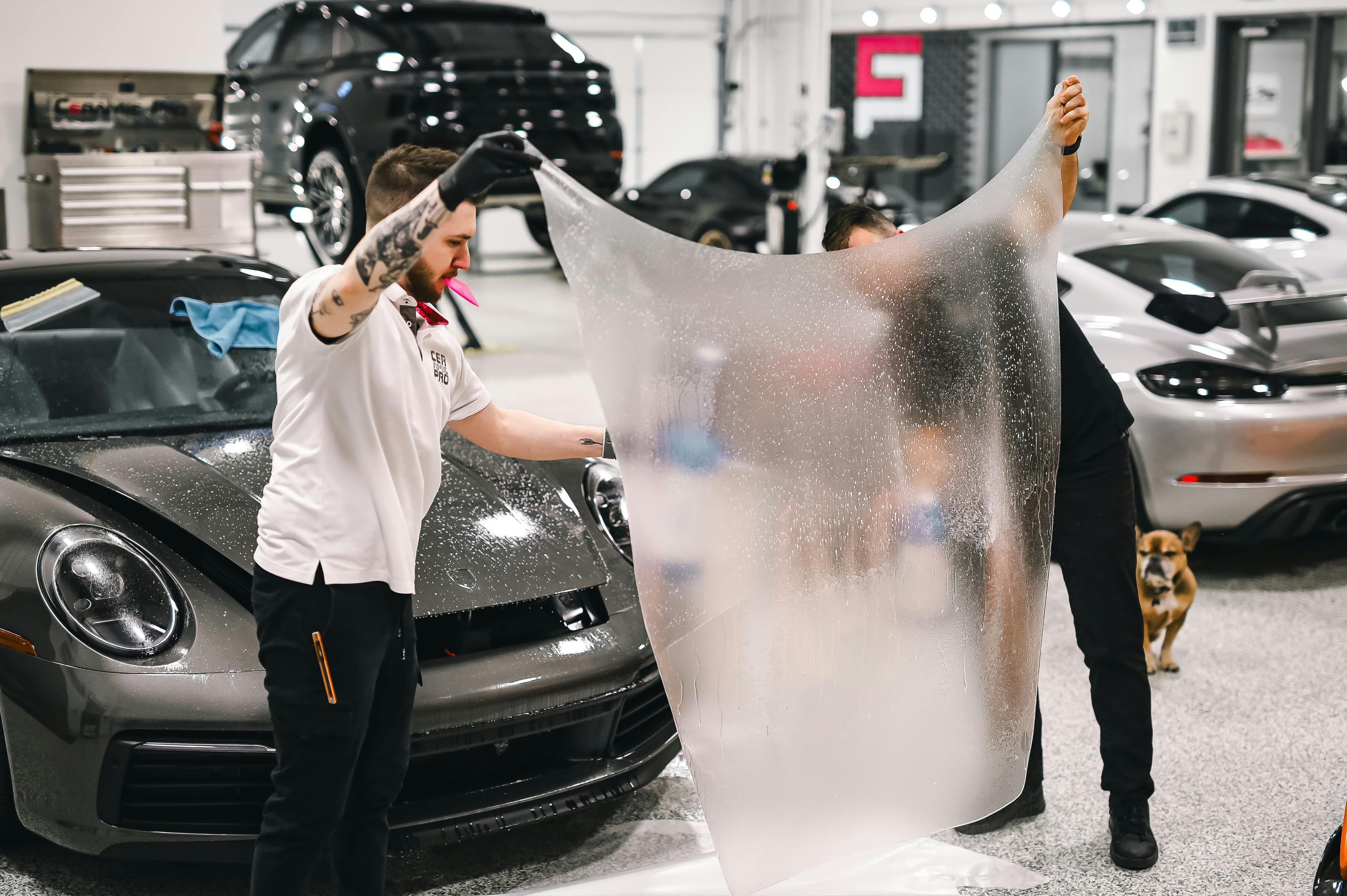 PPF (Paint Protection Film)